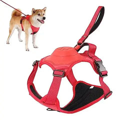 Dog Harness and Retractable Leash Set