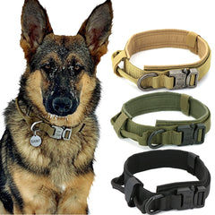 Heavy Duty Dog Collar & Leash