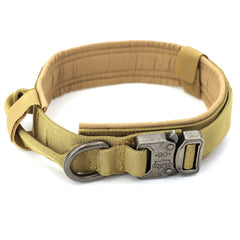 Heavy Duty Dog Collar & Leash