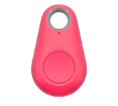 Pet Smart GPS Tracker