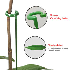 Plastic Plant Supports