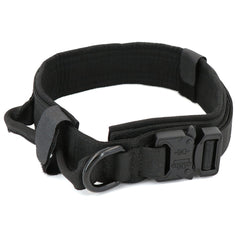 Heavy Duty Dog Collar & Leash