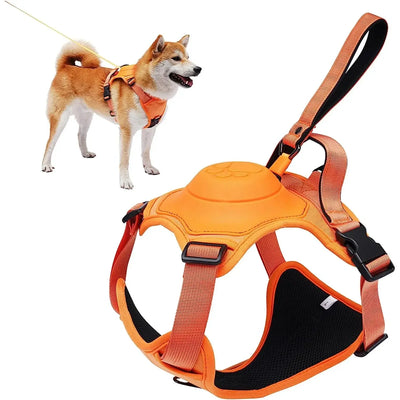 Dog Harness and Retractable Leash Set