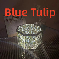 DIY Tulip Mirror Nightlight