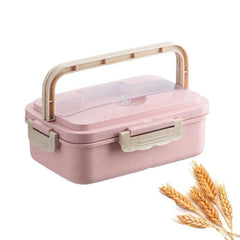 Smart Student Lunch Box