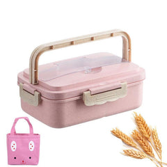 Smart Student Lunch Box