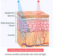 VShape Infrared Face Massager