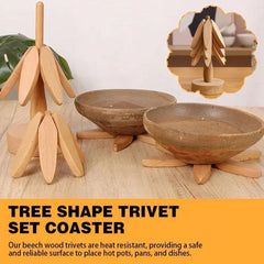 EcoFriendly Walnut Tree Trivet Set